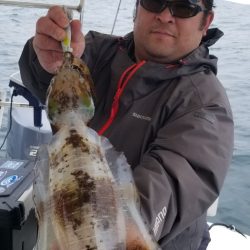 ソルトウォーターガイドフレンズ 釣果