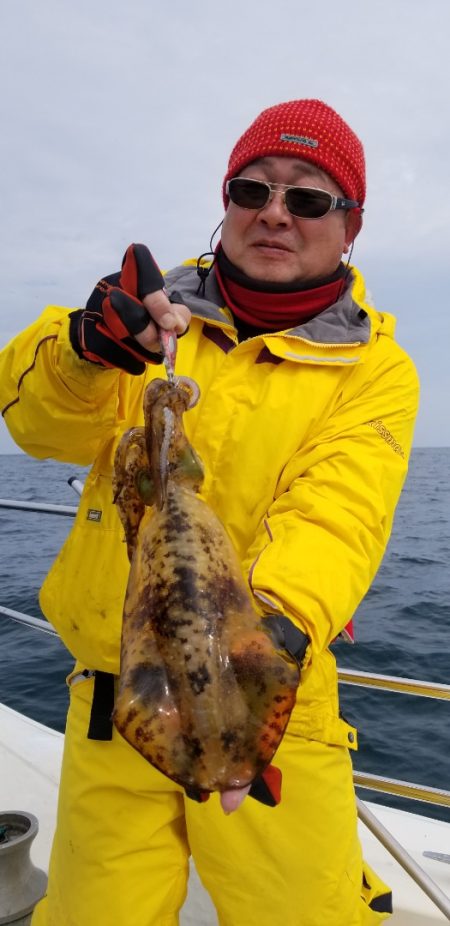 ソルトウォーターガイドフレンズ 釣果