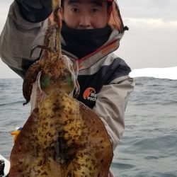 ソルトウォーターガイドフレンズ 釣果