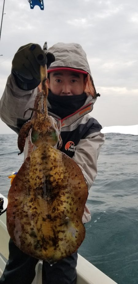 ソルトウォーターガイドフレンズ 釣果