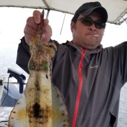 ソルトウォーターガイドフレンズ 釣果