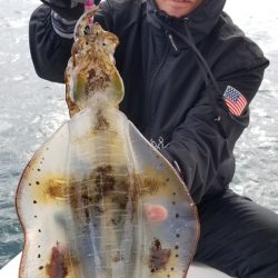 ソルトウォーターガイドフレンズ 釣果