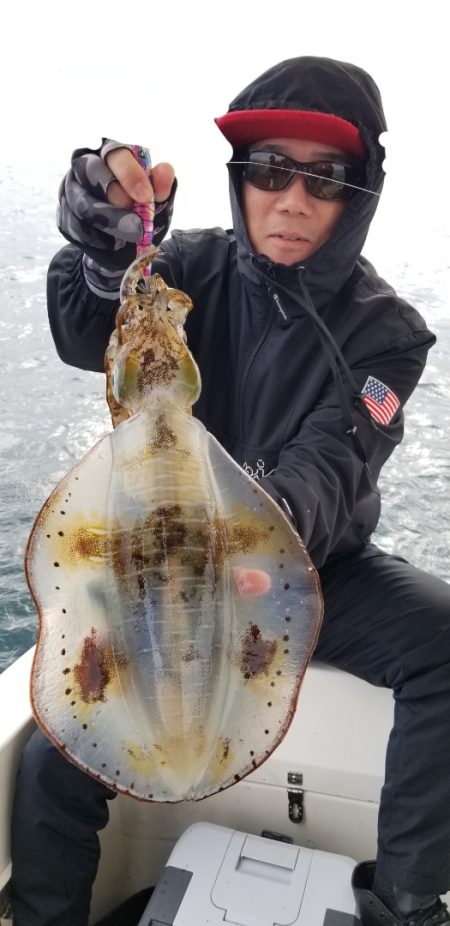 ソルトウォーターガイドフレンズ 釣果