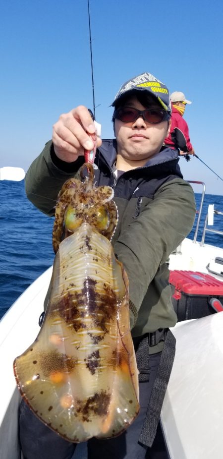 ソルトウォーターガイドフレンズ 釣果