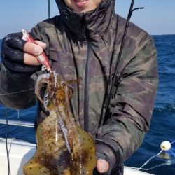 ソルトウォーターガイドフレンズ 釣果