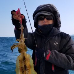 ソルトウォーターガイドフレンズ 釣果