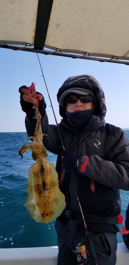 ソルトウォーターガイドフレンズ 釣果