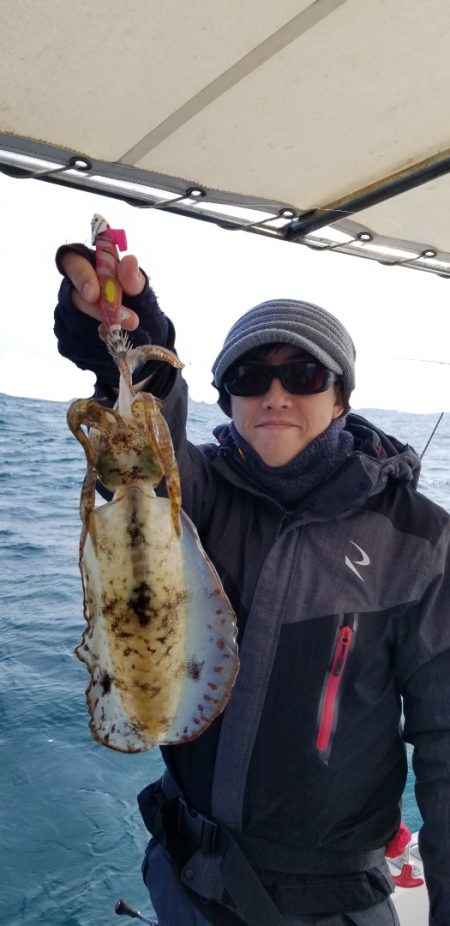 ソルトウォーターガイドフレンズ 釣果