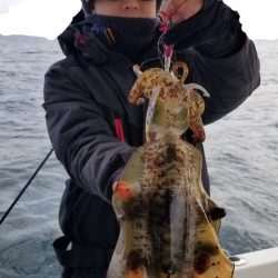 ソルトウォーターガイドフレンズ 釣果