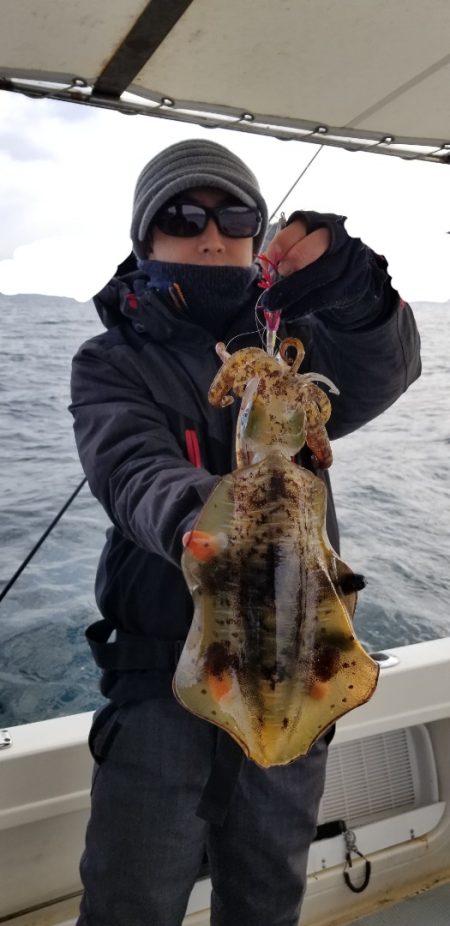 ソルトウォーターガイドフレンズ 釣果