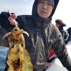 ソルトウォーターガイドフレンズ 釣果