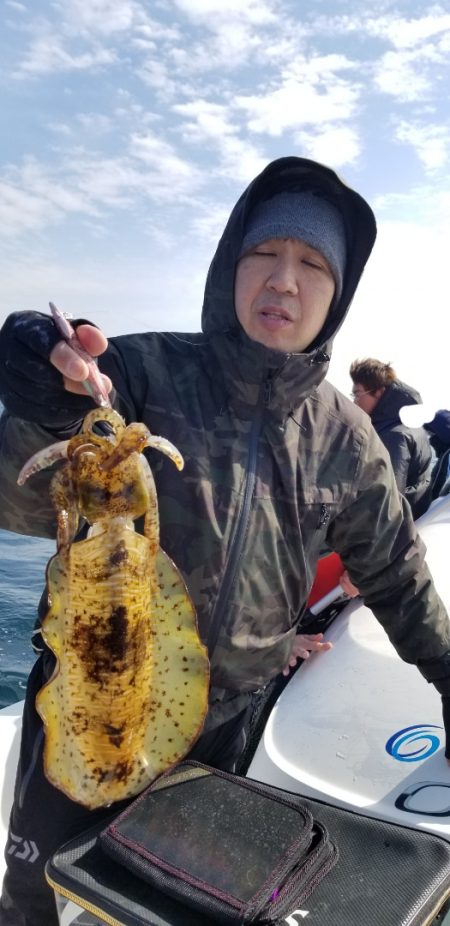 ソルトウォーターガイドフレンズ 釣果