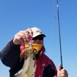 ソルトウォーターガイドフレンズ 釣果