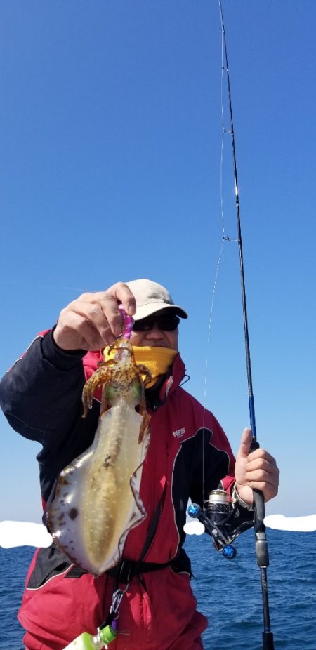 ソルトウォーターガイドフレンズ 釣果