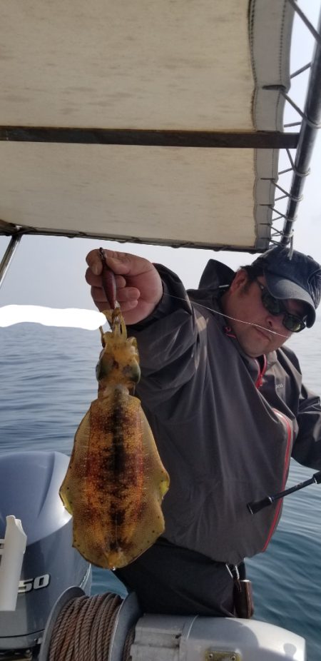 ソルトウォーターガイドフレンズ 釣果