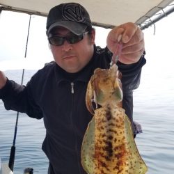 ソルトウォーターガイドフレンズ 釣果