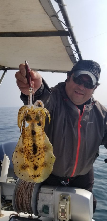 ソルトウォーターガイドフレンズ 釣果