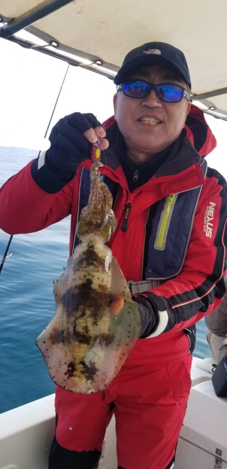 ソルトウォーターガイドフレンズ 釣果