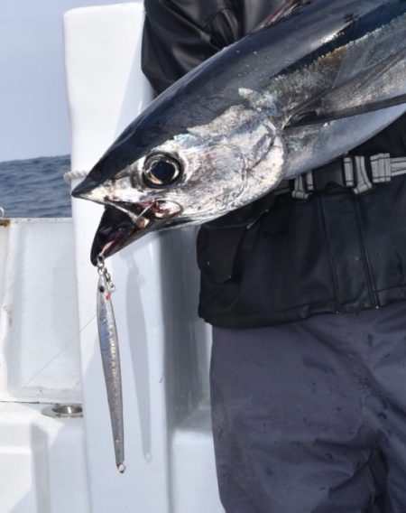 渡船屋たにぐち 釣果