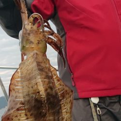 シースナイパー海龍 釣果