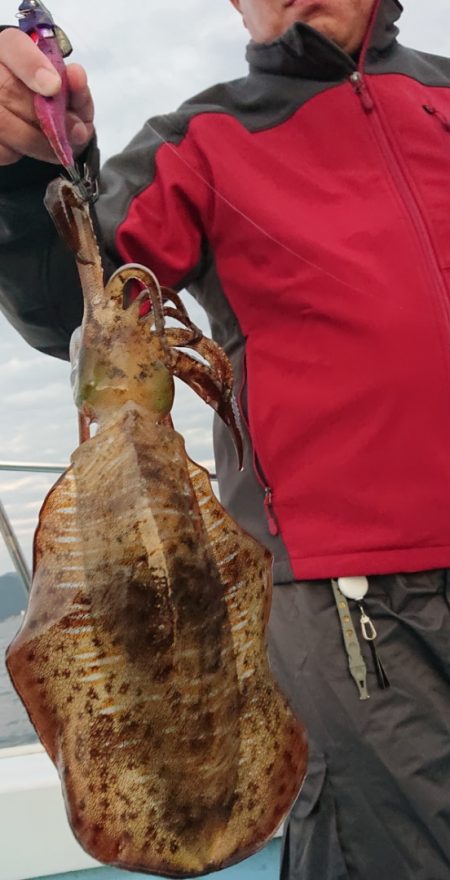 シースナイパー海龍 釣果