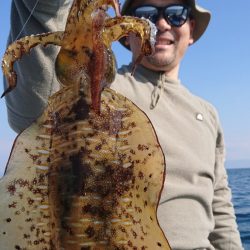 シースナイパー海龍 釣果