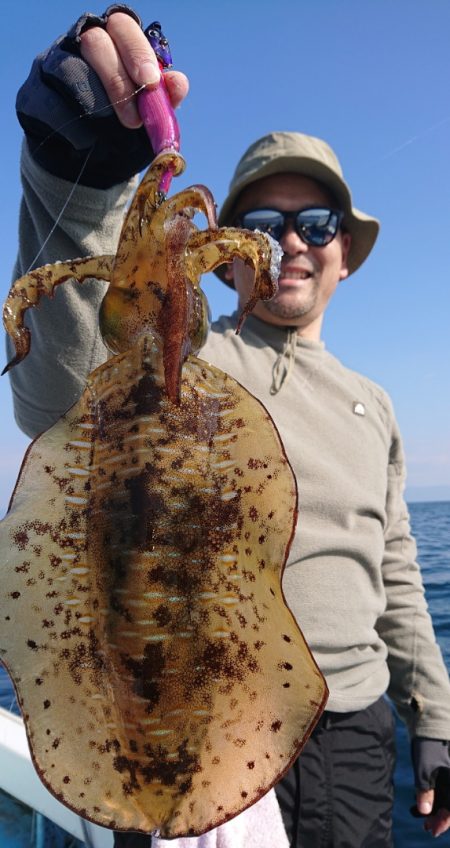 シースナイパー海龍 釣果