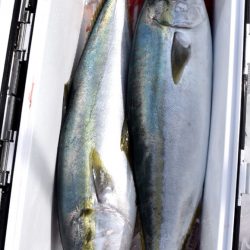 渡船屋たにぐち 釣果