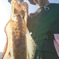 シースナイパー海龍 釣果