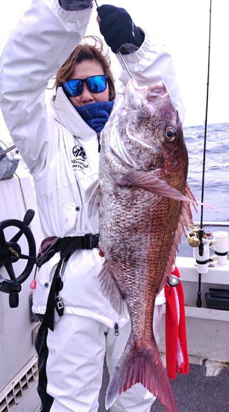 ARCADIAⅡ (アルカディアⅡ) 釣果