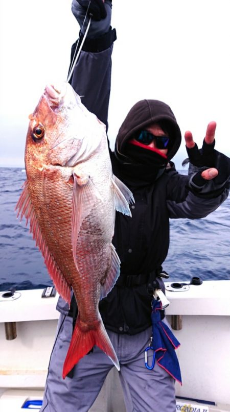 ARCADIAⅡ (アルカディアⅡ) 釣果