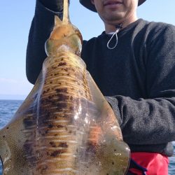 シースナイパー海龍 釣果
