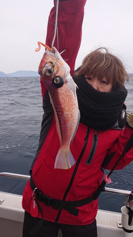 ARCADIAⅡ (アルカディアⅡ) 釣果