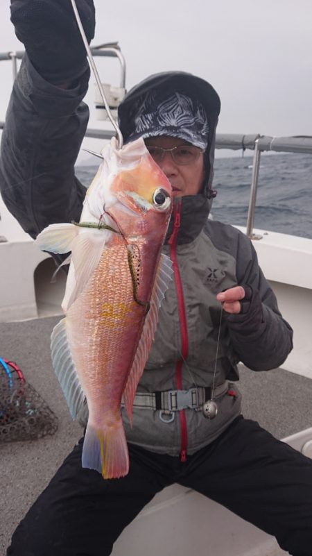 ARCADIAⅡ (アルカディアⅡ) 釣果