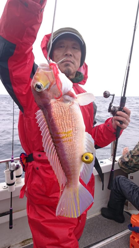 ARCADIAⅡ (アルカディアⅡ) 釣果