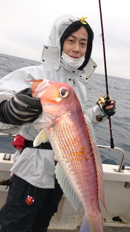 ARCADIAⅡ (アルカディアⅡ) 釣果