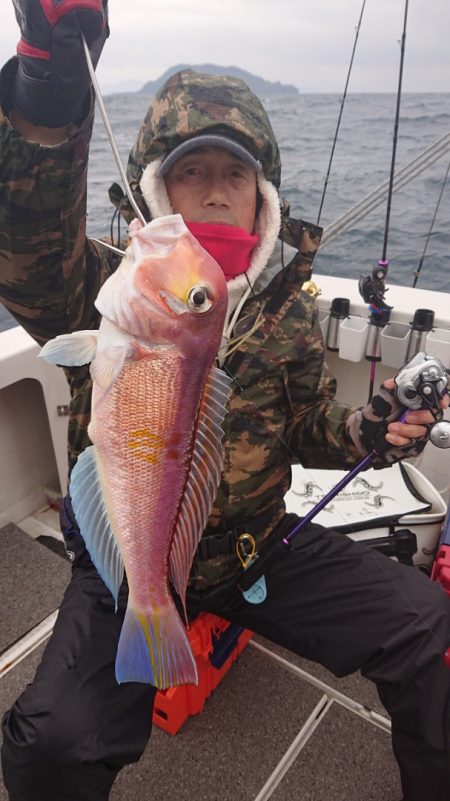 ARCADIAⅡ (アルカディアⅡ) 釣果