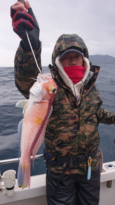 ARCADIAⅡ (アルカディアⅡ) 釣果