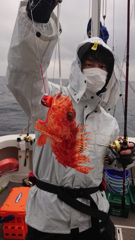 ARCADIAⅡ (アルカディアⅡ) 釣果