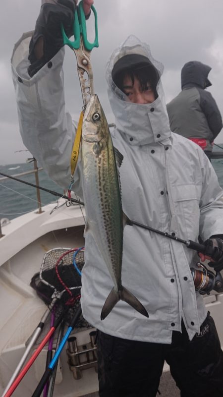 ARCADIAⅡ (アルカディアⅡ) 釣果