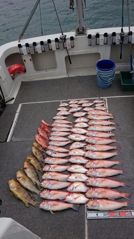 ARCADIAⅡ (アルカディアⅡ) 釣果