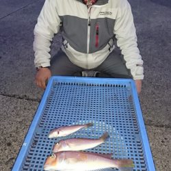 第三共栄丸 釣果