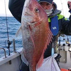 ARCADIAⅡ (アルカディアⅡ) 釣果