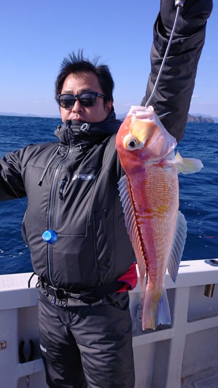 ARCADIAⅡ (アルカディアⅡ) 釣果