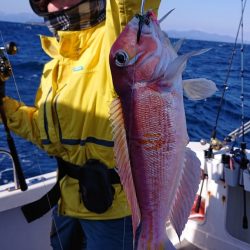 ARCADIAⅡ (アルカディアⅡ) 釣果