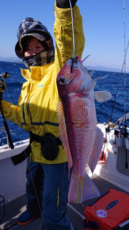 ARCADIAⅡ (アルカディアⅡ) 釣果