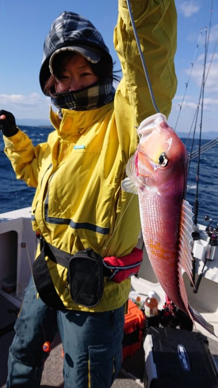 ARCADIAⅡ (アルカディアⅡ) 釣果