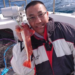 ARCADIAⅡ (アルカディアⅡ) 釣果