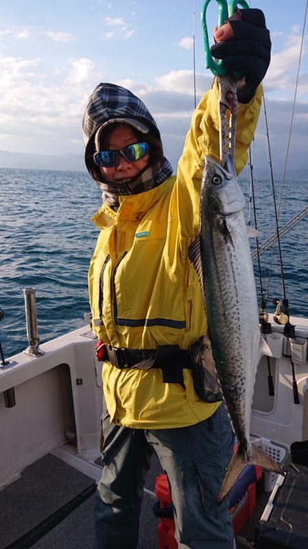 ARCADIAⅡ (アルカディアⅡ) 釣果