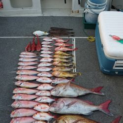 ARCADIAⅡ (アルカディアⅡ) 釣果